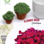 T – An pham Catalogue-13