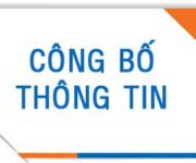 CÔNG BỐ THÔNG TIN DOANH NGHIỆP 2025